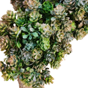 Ver imagem 5 de Guirlanda Árvore da Vida com Led