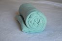 Ver imagem 1 de Cobertor Microfibra Plush Verde Água - Parahyba Queen Size