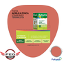 Futura Tinta Standard 18L - Terracota - 1
