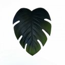 Ver imagem 2 de kit com 6 Sousplat de Folha de Costela de Adão