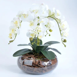 Arranjo Centro de Mesa de Orquídea Branca 3d - 2