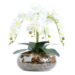 Arranjo Centro de Mesa de Orquídea Branca 3d - 1