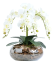 Ver imagem 1 de Arranjo Centro de Mesa de Orquídea Branca 3d