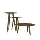 Ver imagem 6 de Conjunto Mesa de Centro e Mesas Laterais 3 Peças Móveis Bechara