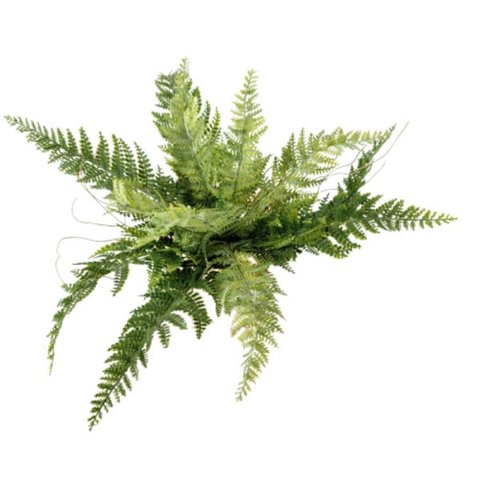 Samambaia Buquê Planta Artificial Permanente 37cm Premium