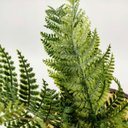 Ver imagem 3 de Samambaia Buquê Planta Artificial Permanente 37cm Premium