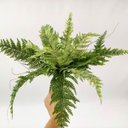 Ver mais imagens de Samambaia Buquê Planta Artificial Permanente 37cm Premium