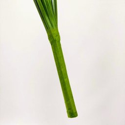 Capim dos Pampas Verde Folhagem Planta Artificial 85x13cm - 6