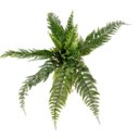 Ver imagem 1 de Samambaia Buquê Planta Artificial Permanente 47cm Silicone