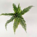 Ver imagem 6 de Samambaia Buquê Planta Artificial Permanente 47cm Silicone