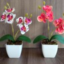 Ver mais imagens de Mini Vaso Suculenta Decorativo Cachepot p/ Plantas e Flores