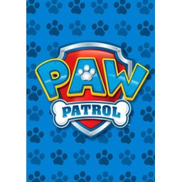 Kit Três Quadros Patrulha Canina - Paw Patrol - 3