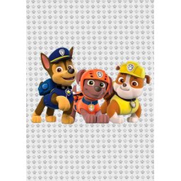 Kit Três Quadros Patrulha Canina - Paw Patrol - 2
