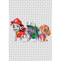 Kit Três Quadros Patrulha Canina - Paw Patrol - 4