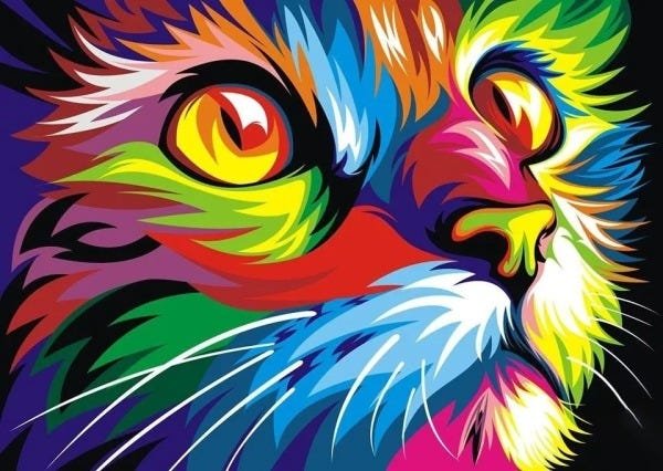 Quadro Tela Canvas Animais Gato Colorido Decorativo 100x70cm