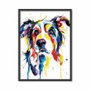 Ver imagem 1 de Quadro Decorativo Cachorro Border Collie Colorido com Moldura