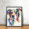 Quadro Decorativo Cachorro Border Collie Colorido com Moldura - 2