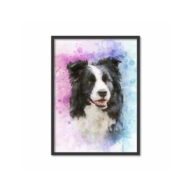 Quadro Decorativo Cachorro Border Collie Colorido com Moldura