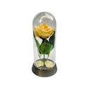 Ver imagem 1 de 60 Redomas Cúpulas A Rosa Encantada A Bela e A Fera - Rosa - Amarelo