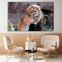 Ver imagem 4 de Quadro Amor de Leão -- BR ARTES
