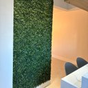 Ver imagem 5 de 13 Placas Jardim Vertical Artificial 3d Parede Verde Decoração Revestimento Folhagem Realista