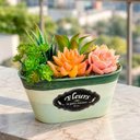 Ver imagem 1 de Arranjo Suculenta Vaso Decorativo com Plantas Artificiais Verde
