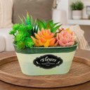 Ver imagem 2 de Arranjo Suculenta Vaso Decorativo com Plantas Artificiais Verde
