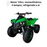 Quadriciclo Gasolina 125cc 4t Partida Elétrica Automático com Ré 0km Verde Importway Iwatvr-125 Vd - 4