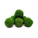 Ver imagem 1 de Kit com 6 Bola de Grama Artificial Decorativa 10X10Cm