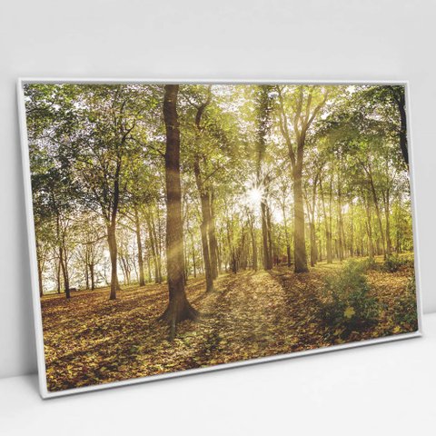 Quadro Decorativo em Canvas Floresta na Luz do Sul - Moldura Branca - 60 x 40cm