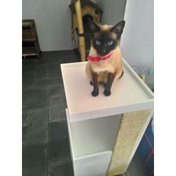 Arranhador para Gatos Antares em MDF Branco 15mm e Sisal - 6