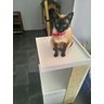 Arranhador para Gatos Antares em MDF Branco 15mm e Sisal - 6