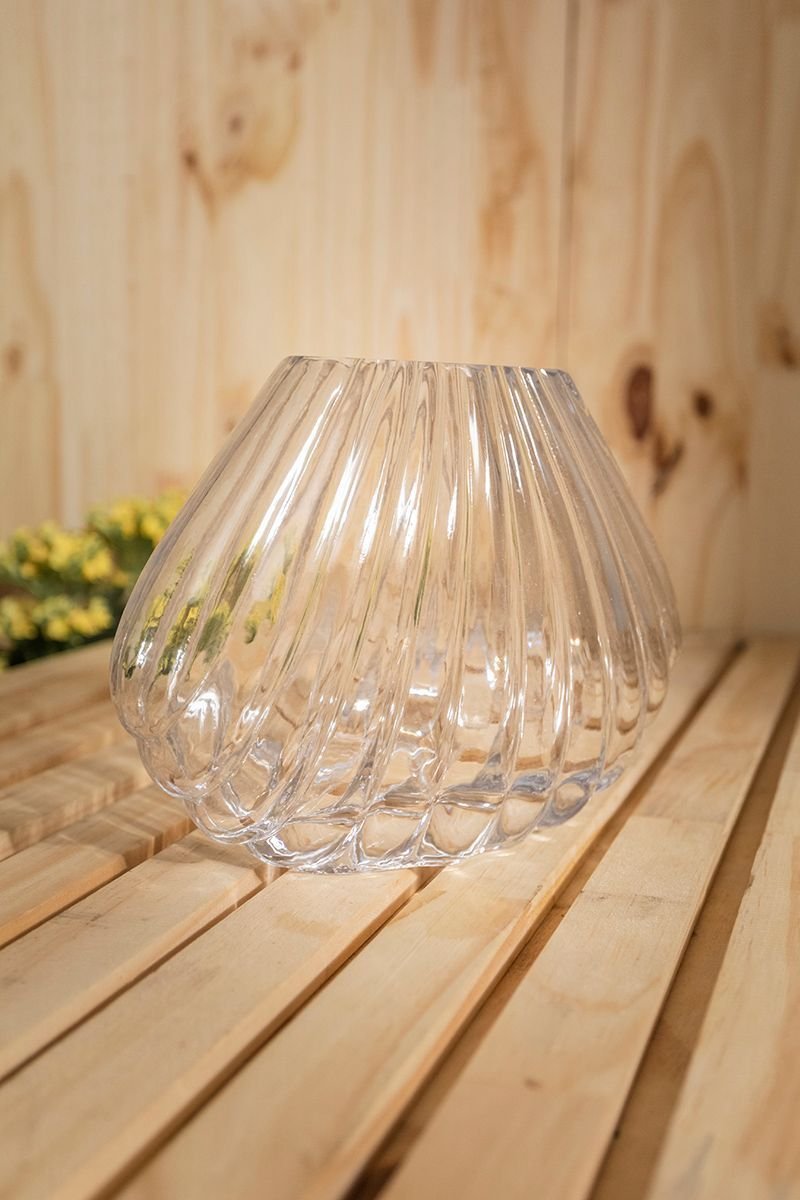 Vaso Concha Transparente