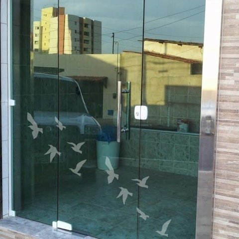 Adesivo Decorativo para Vidro Pássaros:jateado