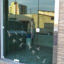 Ver imagem 1 de Adesivo Decorativo para Vidro Pássaros:jateado