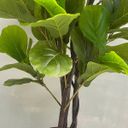 Ver imagem 5 de Árvore Ficus Lyrata Toque Real 210cm com Tronco Natural e Vaso Thai Preto