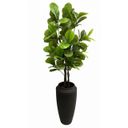 Ver imagem 2 de Árvore Ficus Lyrata Toque Real 210cm com Tronco Natural e Vaso Thai Preto