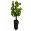 Ver imagem 2 de Árvore Ficus Lyrata Toque Real 210cm com Tronco Natural e Vaso Thai Preto