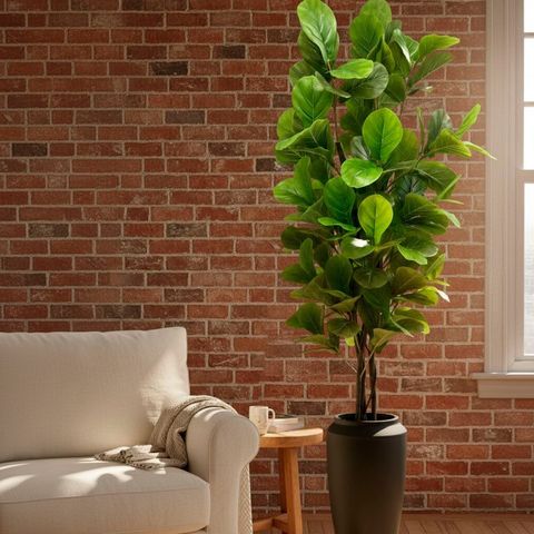 Árvore Ficus Lyrata Toque Real 210cm com Tronco Natural e Vaso Thai Preto