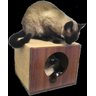 Arranhador para Gatos Single Box em MDF Branco 15mm e Sisal - 4