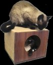 Ver imagem 4 de Arranhador para Gatos Single Box em MDF Branco 15mm e Sisal