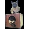 Arranhador para Gatos Single Box em MDF Branco 15mm e Sisal - 3