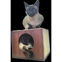 Ver imagem 3 de Arranhador para Gatos Single Box em MDF Branco 15mm e Sisal