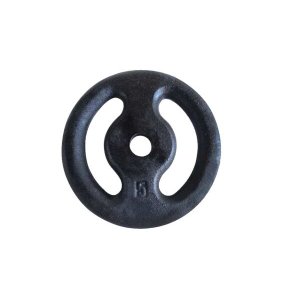 Anilha Ferro Fundido Pintada Fitness Academia 5,0 Kg