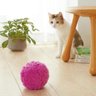 Bola Mágica para gatos e cães rolagem automática - 5