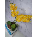 Ver imagem 2 de Arranjo Com 2 Orquídeas Amarela Vaso Dourado 22cm