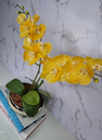 Ver imagem 2 de Arranjo Com 2 Orquídeas Amarela Vaso Dourado 22cm