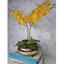 Ver imagem 1 de Arranjo Com 2 Orquídeas Amarela Vaso Dourado 22cm