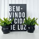 Ver imagem 2 de Decoração sala quarto livro fake + dupla vaso decor preto