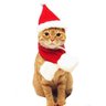 Roupa de Natal para cães e gatos - P - 2
